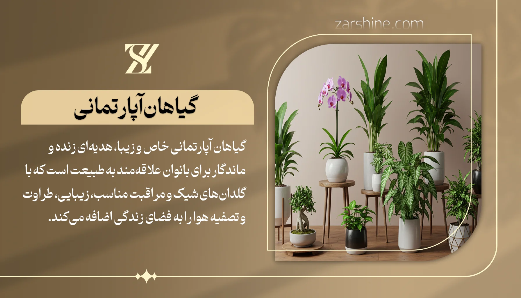 گیاهان آپارتمانی خاص