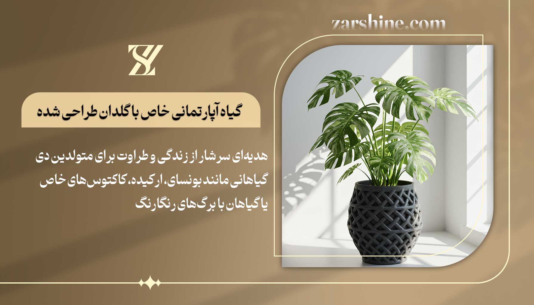 گیاه آپارتمانی خاص با گلدان طراحی شده برای متولدین دی