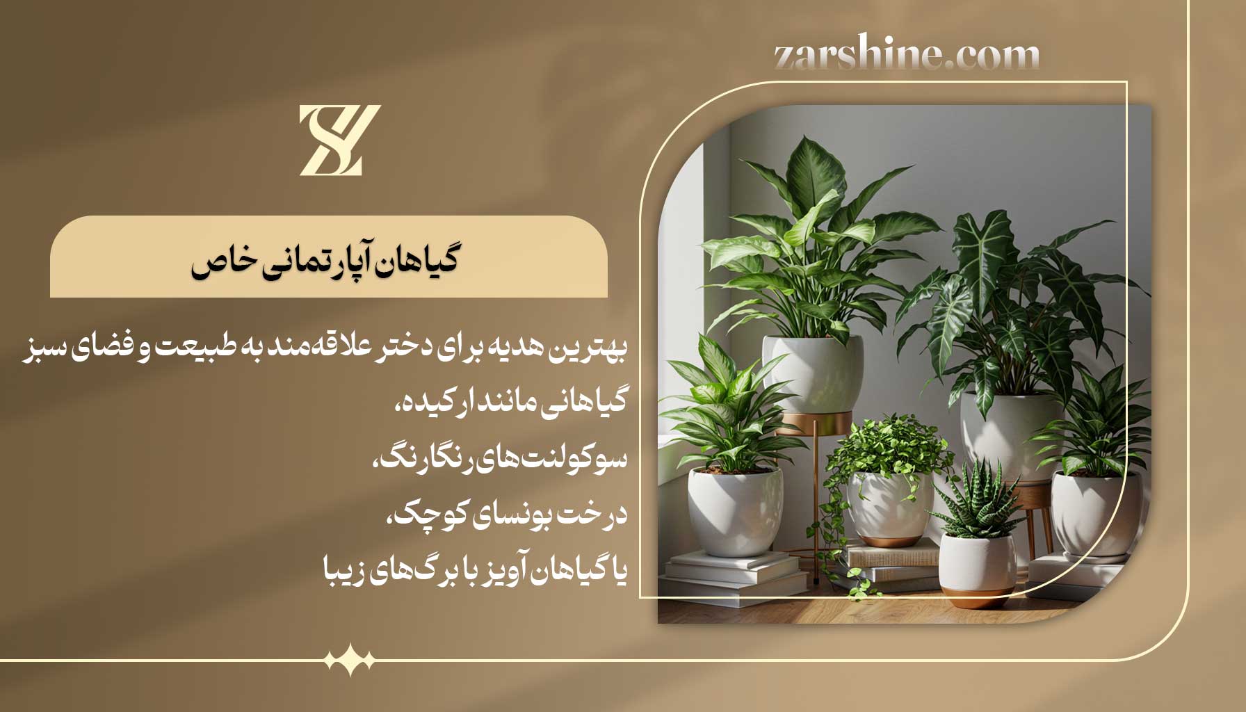 گیاهان آپارتمانی خاص بهترین هدیه برای دختر