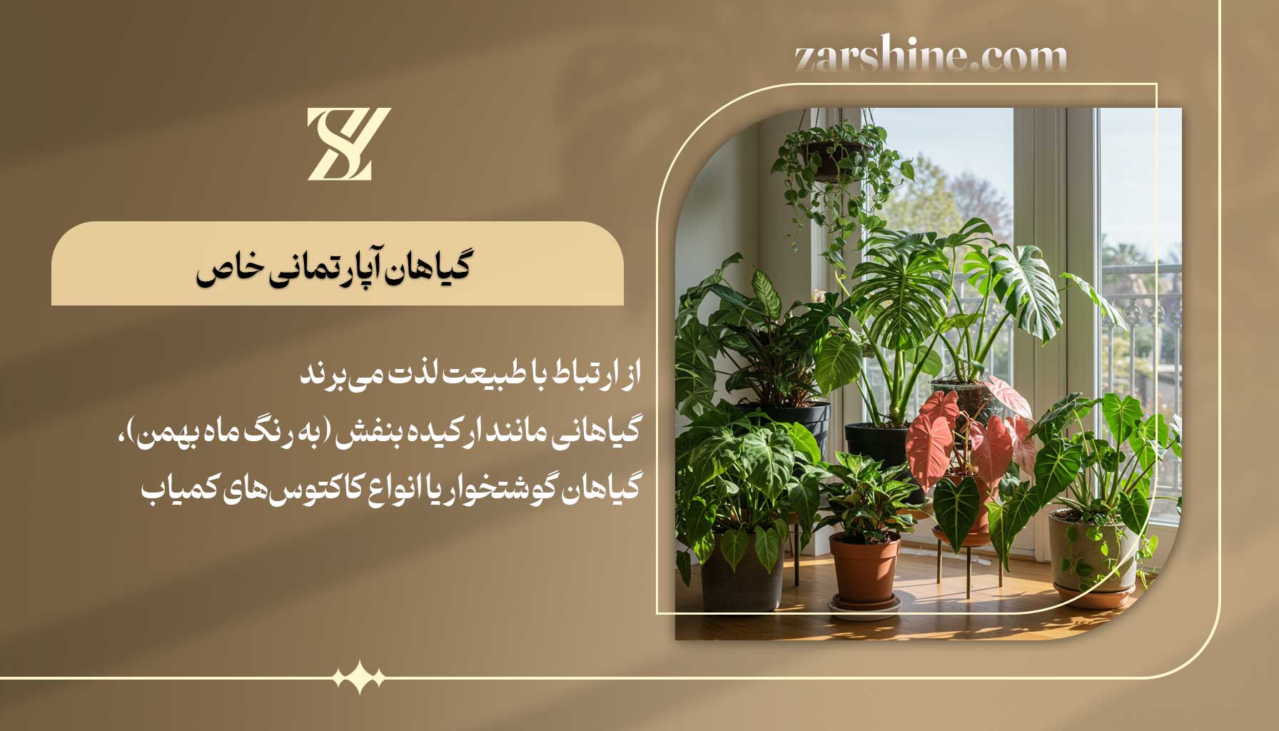 گیاهان آپارتمانی خاص برای متولدین بهمن