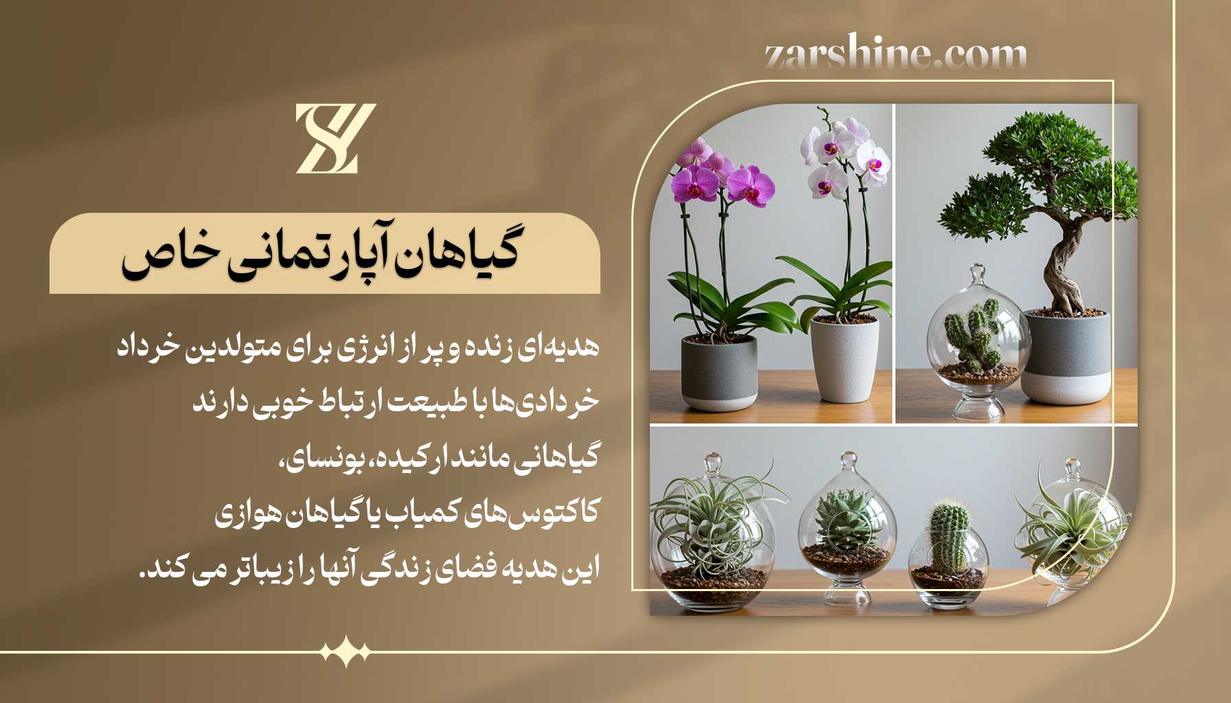 گیاهان آپارتمانی خاص برای متولدین خرداد