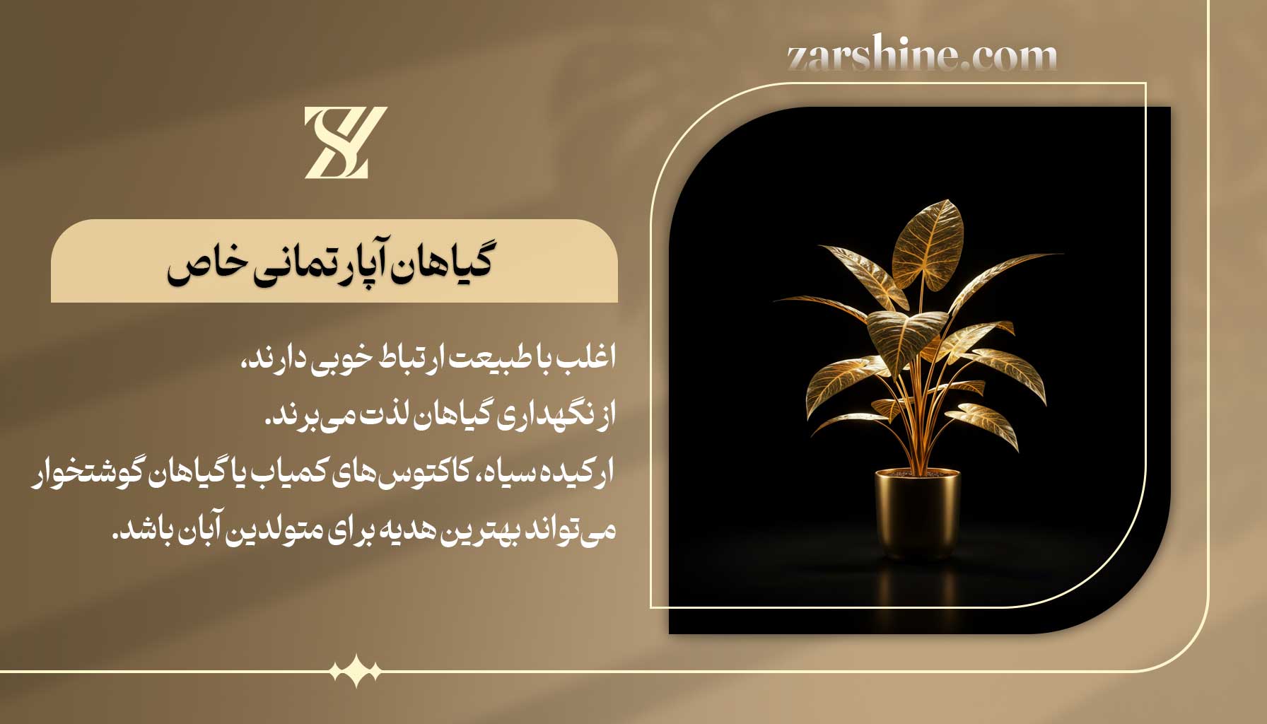 گیاهان آپارتمانی خاص برای متولدین آبان