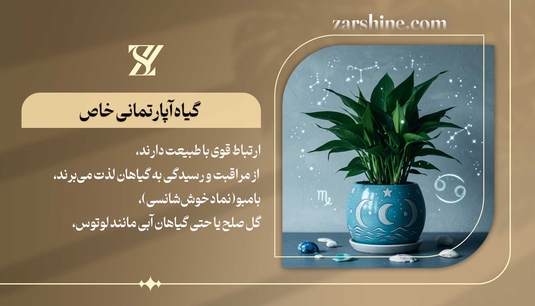 گیاه آپارتمانی خاص برای متولدین تیر