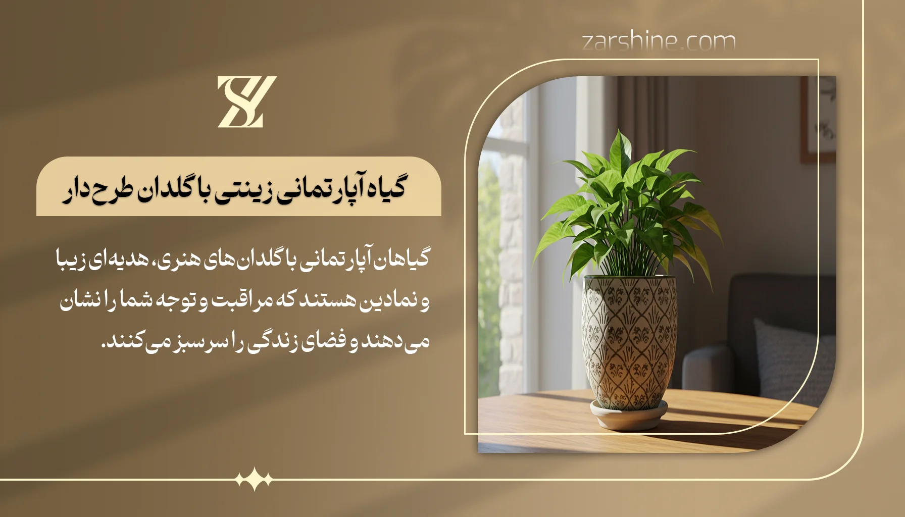 گیاه آپارتمانی زینتی با گلدان طرحدار
